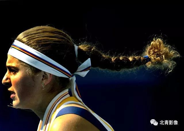 武昌鱼鲜美 武昌鱼鲜美