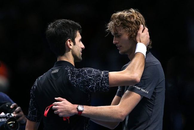 提供了新的 提供了新的