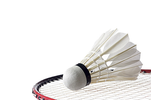 屡见不鲜 屡见不鲜